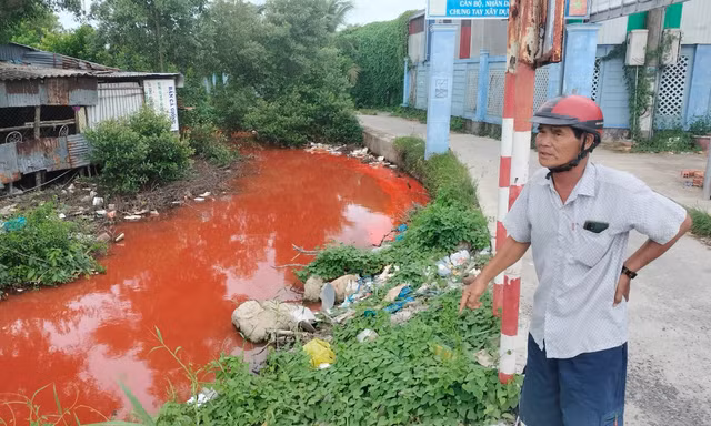 Nước kênh bỗng chuyển sang màu đỏ lạ thường ở Cà Mau