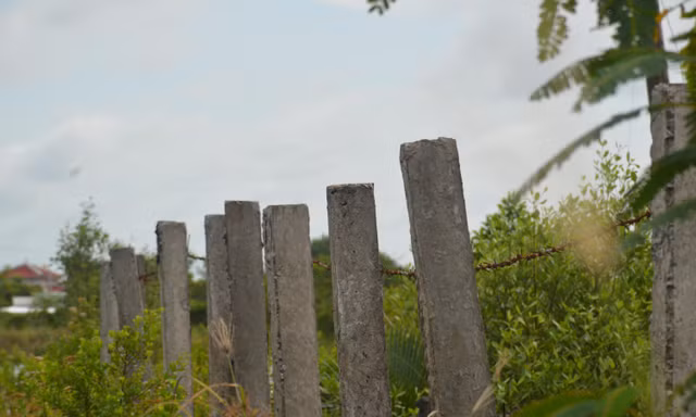 Chốt phương án xử lý vụ 'ngân hàng đất' hơn 26 tỷ đồng bị bỏ hoang