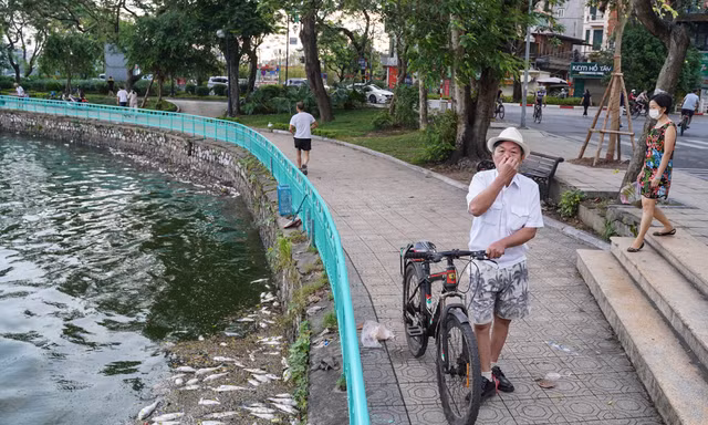 Người dân Thủ đô 'đau đầu nhức óc' vì mùi hôi thối do cá chết trắng tại Hồ Tây