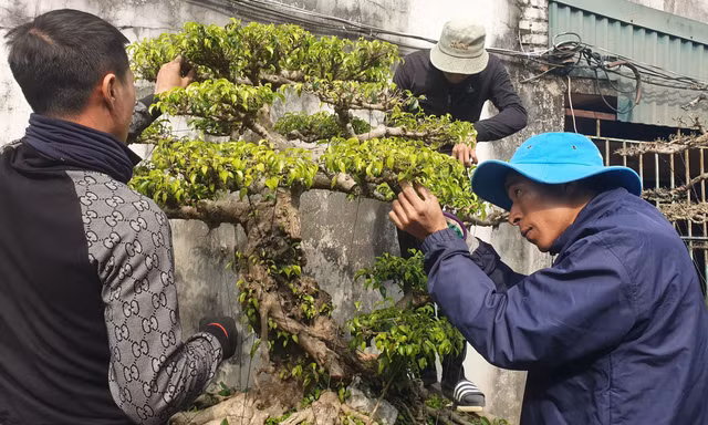 Ở nơi làm không hết việc, kiếm tiền dễ như nông dân