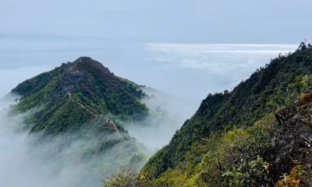 Săn mây Tà Xùa, trekking khu rừng phủ rêu ma mị như trong phim 