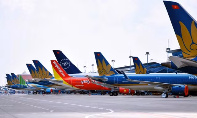 Giá thuê tàu cao ngất ngưởng, các hãng 'càng bay càng lỗ'