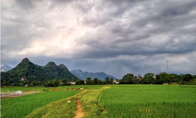 Bộ Nông nghiệp lưu ý về 115 ha đất lúa xin chuyển xây biệt thự ở Hòa Bình