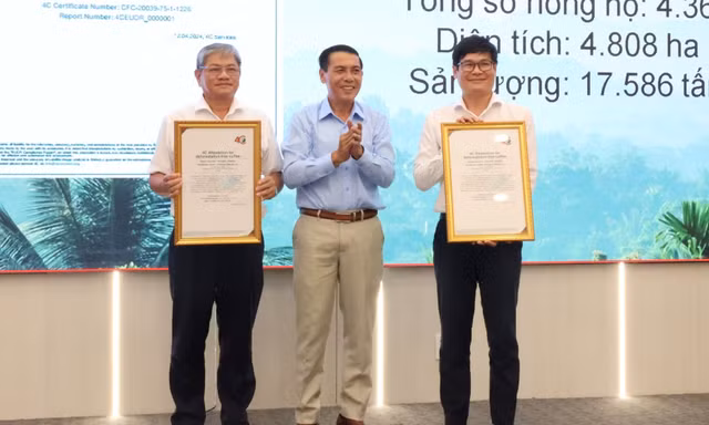 Thủ phủ cà phê ứng phó khi EU cấm nhập hàng xuất xứ từ phá rừng