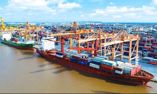 CEO hãng vận tải biển lớn nhất Việt Nam nói về mục tiêu doanh thu 