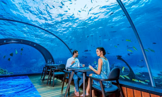 Nhà hàng 5.8 ở Maldives là nhà hàng dưới đáy biển lớn nhất thế giới. Thực đơn trị giá 200 USD đi kèm khung cảnh rạn san hô tuyệt đẹp. Nguồn: CNN.