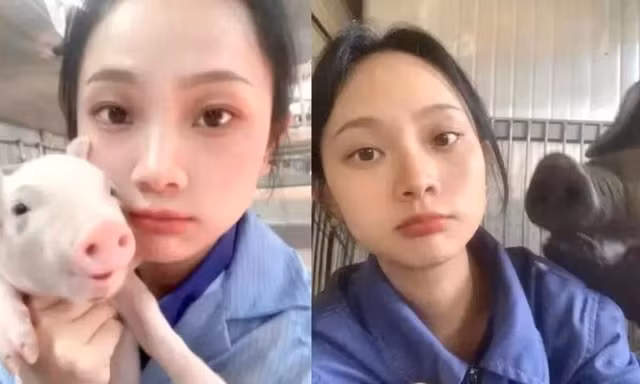 Cô gái 26 tuổi bỏ việc lương cao để làm nghề... nuôi lợn