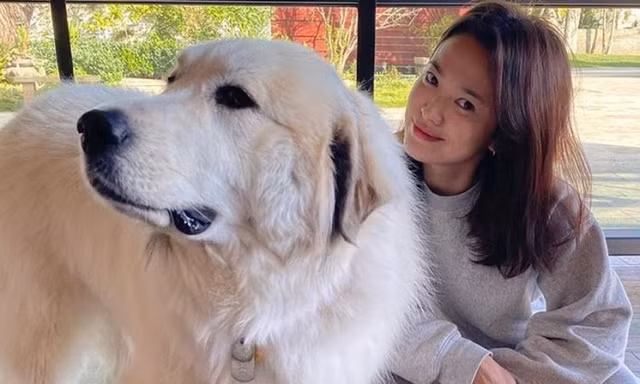Song Hye Kyo lộ diện sau khi trở về từ tâm dịch Milan nước Ý