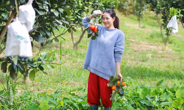 Những người trẻ sống ở cả thành phố và vùng quê