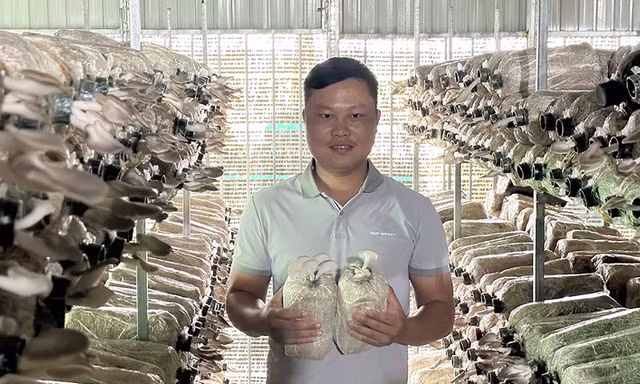 Bí quyết tạo doanh thu hơn 4 tỷ đồng mỗi năm của chàng trai miền Tây