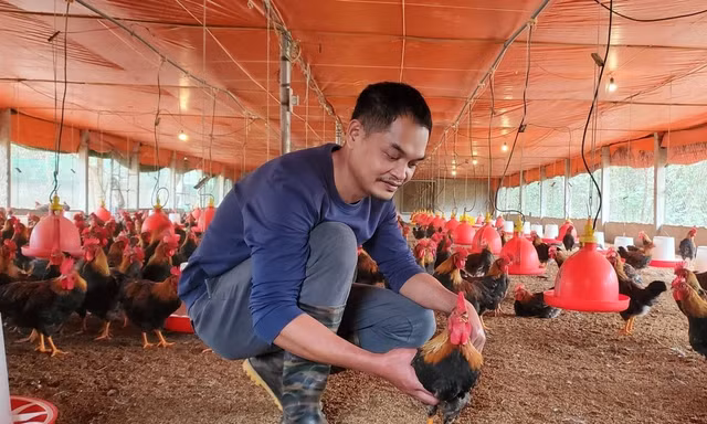 Cặp vợ chồng trẻ kiếm tiền tỷ trên vùng đất khó nhờ 'lối đi riêng'