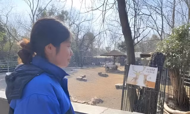 Nữ thạc sĩ Cambridge xin vào sở thú trông coi động vật gây tranh cãi