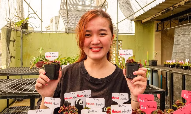 Nuôi cây ăn thịt trên sân thượng, cô gái 9X kiếm gần 20 triệu đồng/tháng