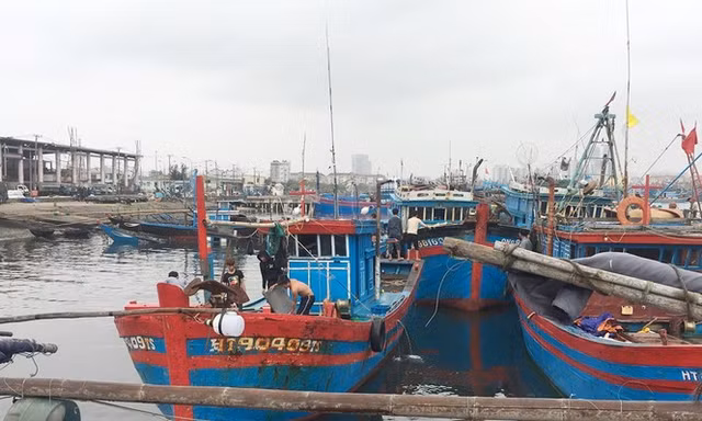 UBND TP Đà Nẵng tiếp tục tăng cường các cơ chế, chính sách để hỗ trợ ngư dân vươn khơi bám biển như hỗ trợ kinh phí trang thiết bị tàu cá, bảo hiểm thân tàu… để tiếp tục phát triển nghề cá chất lượng cao