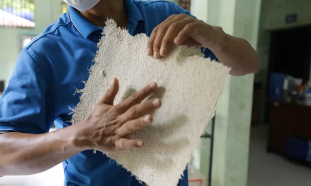 Độc đáo: Làm giấy từ... phân voi