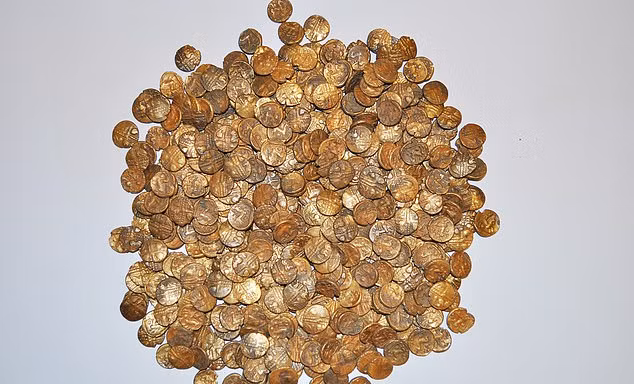 Đi ngắm chim, nhặt được hũ tiền vàng cổ trị giá hơn 26 tỷ đồng