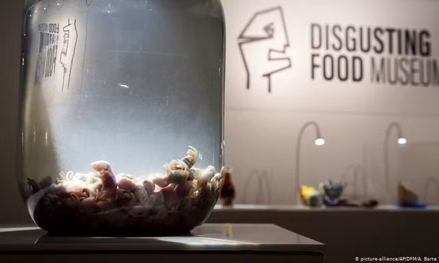 Rùng mình với những thức uống làm từ phân người, ủ trong bồn cầu ở Thuỵ Điển