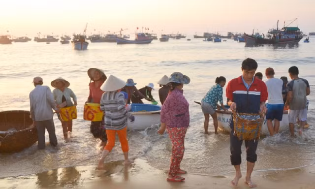 Ngư dân trúng đậm ngàn tấn thủy hải sản trong chuyến ra khơi đầu năm