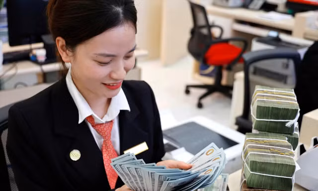 Giá USD được dự đoán tiếp tục giảm Ảnh: Như Ý 
