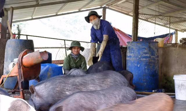 Những trí thức trẻ tình nguyện ở Đoàn 207 Ảnh: Nguyễn Thành 