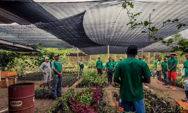 Một vườn ươm thuộc chương trình EcoSólidos ở nhà tù La Joyita