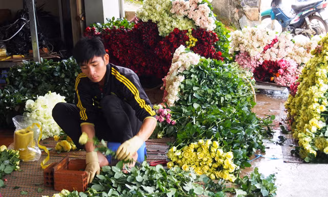 Hối hả đóng gói hoa hồng cho dịp lễ.