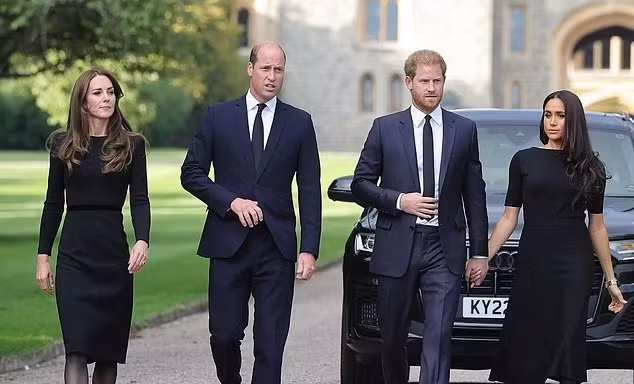 Vua Charles, William - Kate và Harry - Meghan đều bị sụt giảm danh tiếng