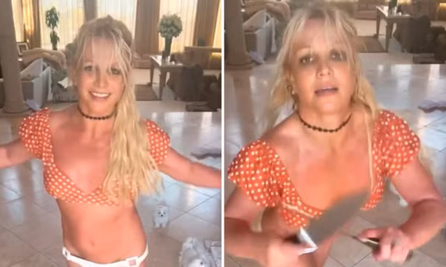 Cảnh sát đến nhà Britney Spears sau video múa dao gây sốc