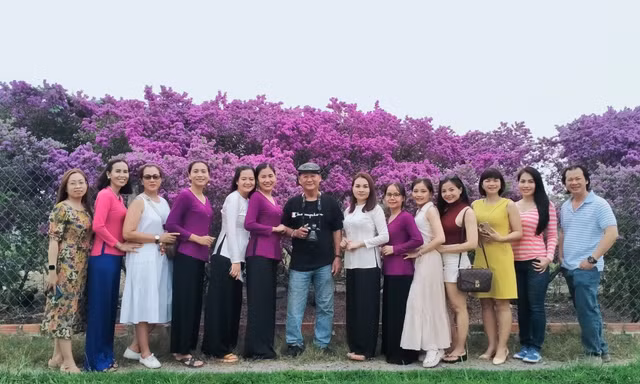 Phát sốt bước vào vườn hoa Linh Sam màu tím khổng lồ ở Long An, tha hồ quay phim, chụp ảnh