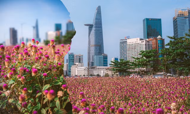 Giới trẻ TP.HCM rộn ràng rủ nhau "check-in" cánh đồng hoa tím mộng mơ