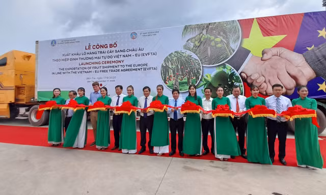 Xuất khẩu lô hàng trái cây sang châu Âu theo hiệp định EVFTA ​
