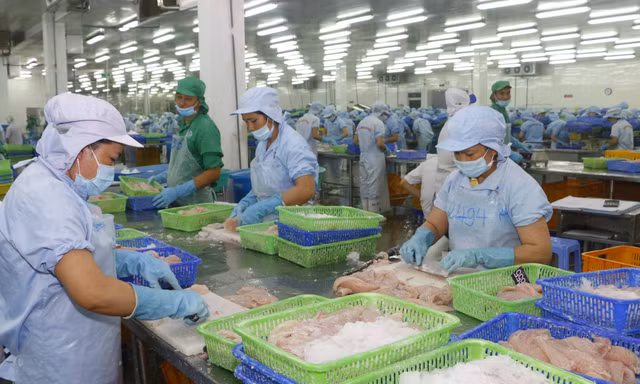 Xuất khẩu thủy sản sang EU năm 2020 dự báo đạt hơn 1 tỷ USD