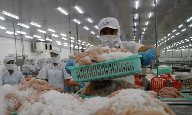 Mỹ giảm thuế chống bán phá giá cho cá tra Việt Nam