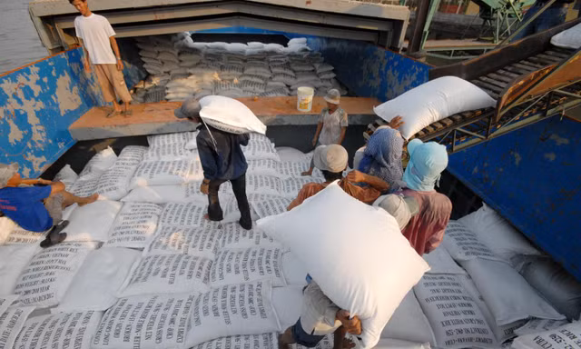 Xuất khẩu gạo tiếp tục khởi sắc?