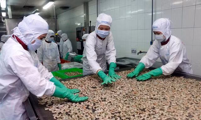 Xuất khẩu tôm sang EU kỳ vọng tăng trưởng nhờ hiệp định EVFTA