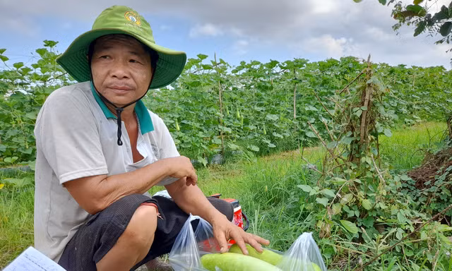 ĐBSCL: Giá thịt heo tăng, nhiều loại rau củ quả giảm