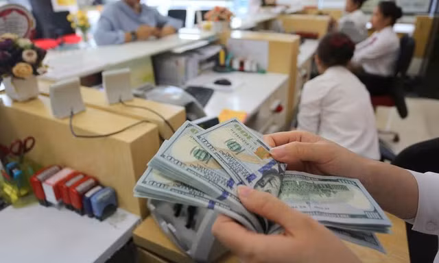 Chuyên gia kinh tế lý giải về nguyên nhân khiến tỷ giá trung tâm tăng cao. ảnh minh hoạ 