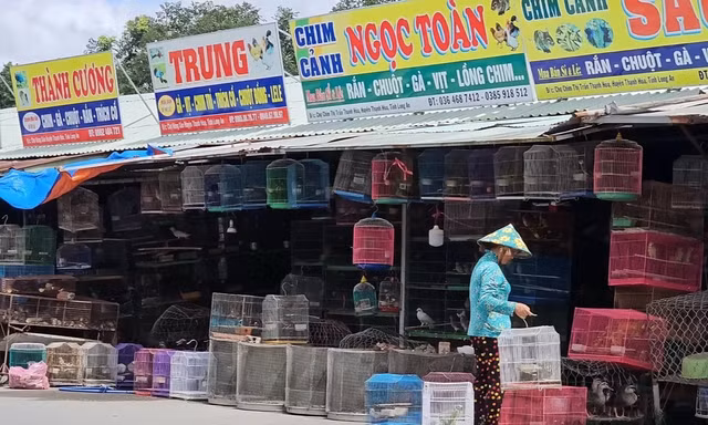 'Địa ngục chim trời' lớn nhất miền Tây trước khi thành trạm dừng chân
