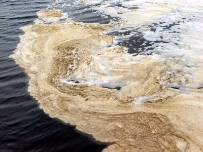 Duy lý và duy tình