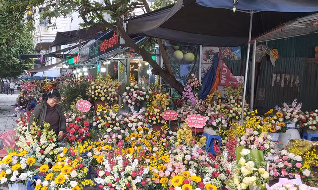 Giá hoa giảm khiến người nông dân trồng hoa ở làng Tây Tựu gặp khó khăn