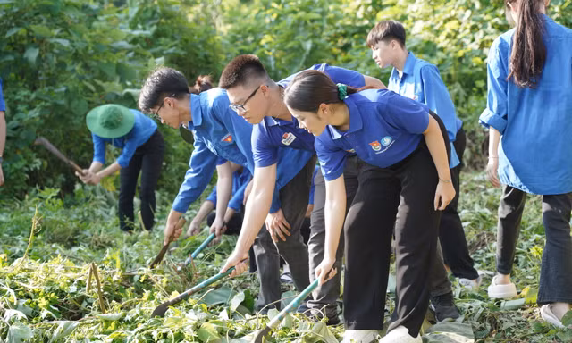 Sôi nổi các hoạt động mở màn của Chiến dịch Mùa hè xanh tại Tuyên Quang