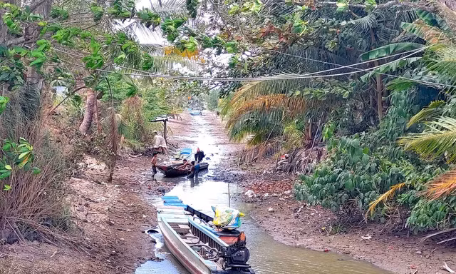 Cô lập carbon bằng phương pháp sinh học để ứng phó với xâm nhập mặn và nước biển dâng ở ĐBSCL
