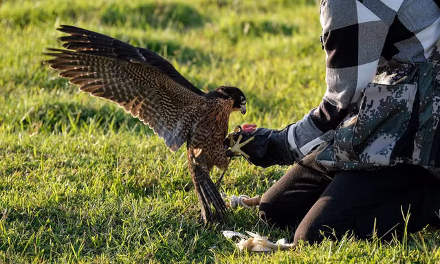 Giới trẻ Hà thành thích thú với trò chơi huấn luyện 'trinh sát trên không'