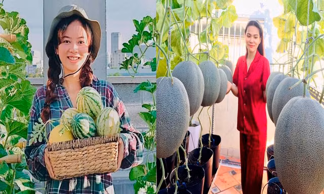 Những vườn rau xanh mướt trên sân thượng của các bạn trẻ mùa dịch 