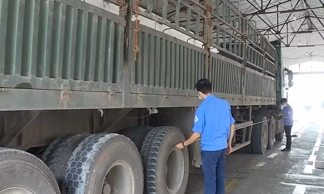 Hơn 19.000 phương tiện bị trượt đăng kiểm 
