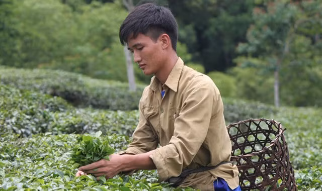 Mơ ước của hai thủ khoa trường Y