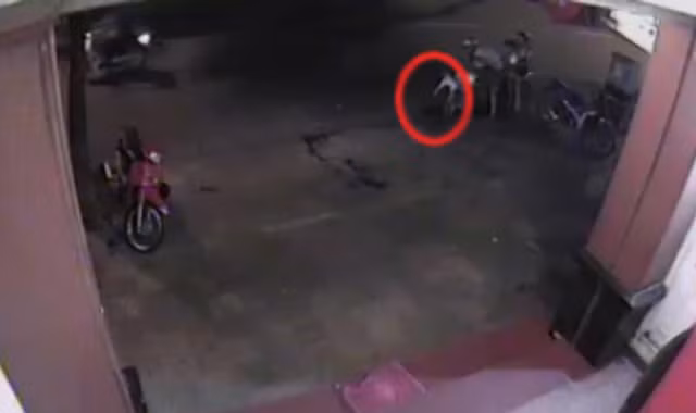 Đôi nam nữ đi xe SH câu trộm chó giữa lòng phố cổ