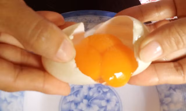 Trứng vịt 2 - 3 lòng đỏ hiếm gặp