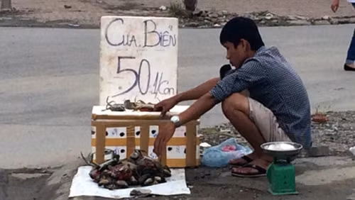 Cua biển giá bèo