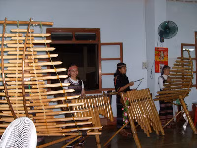 Đàn ta 